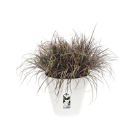 loft urban rond roues 40cm blanc